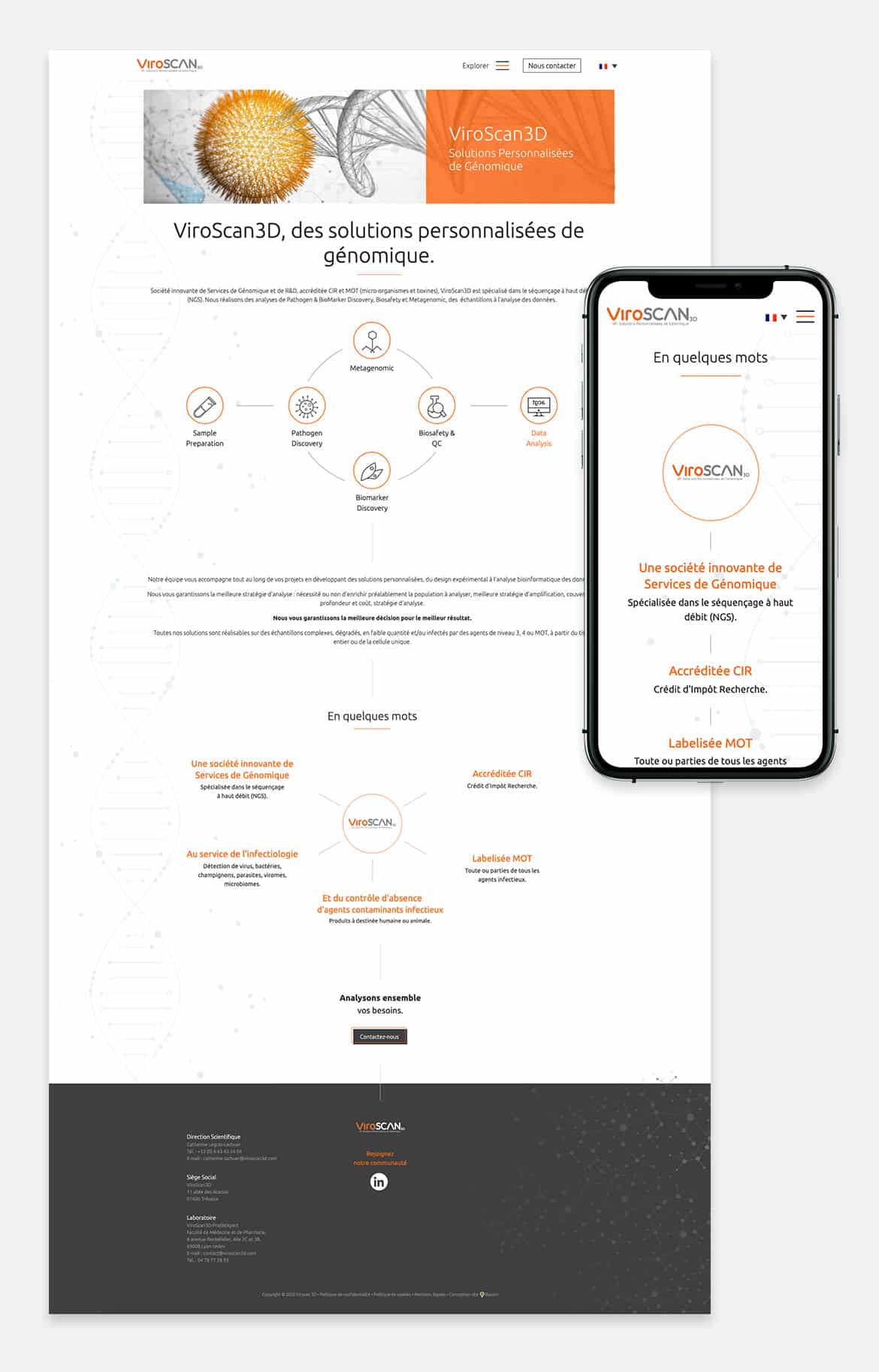 ViroScan3D, structure du site