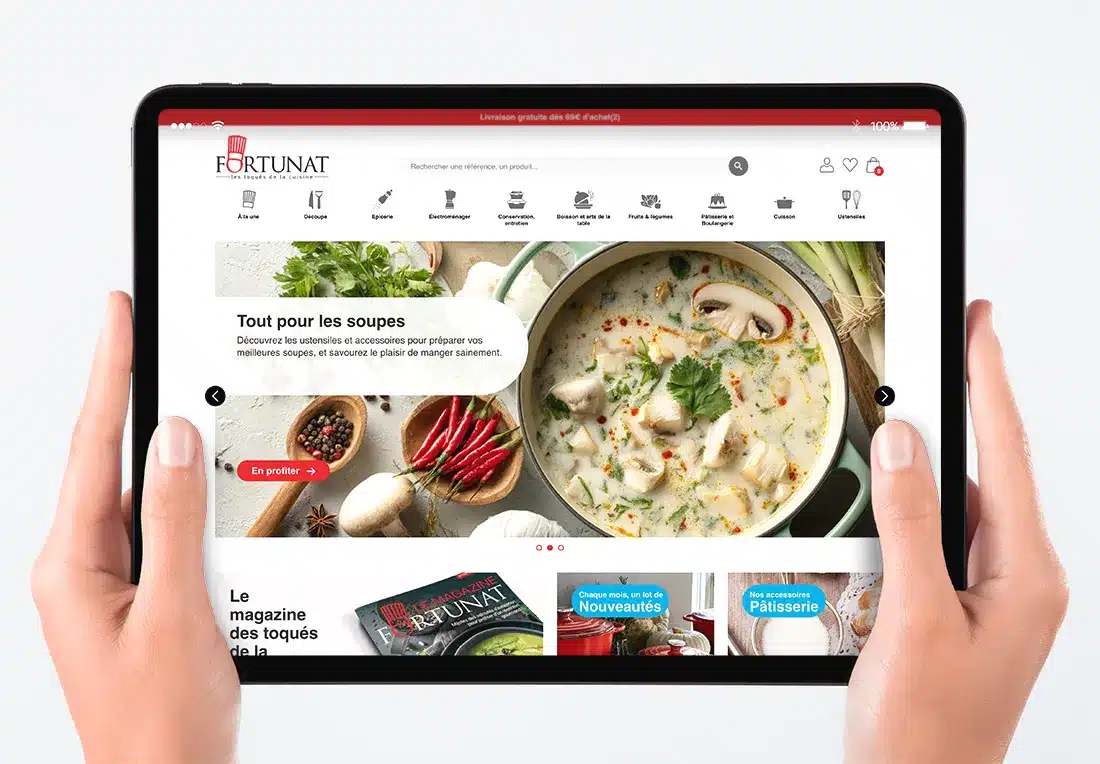 Design de la homepage Fortunat.Fr Design de la homepage Fortunat.Fr
