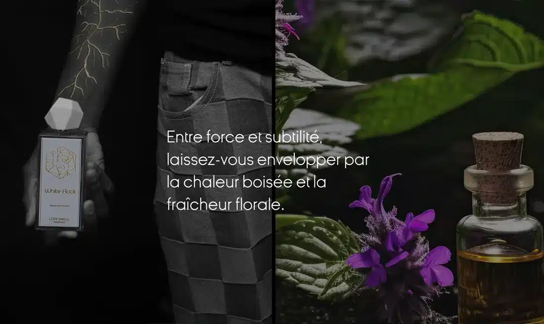 Love Smell, notre vision du site Love Smell, notre vision du site